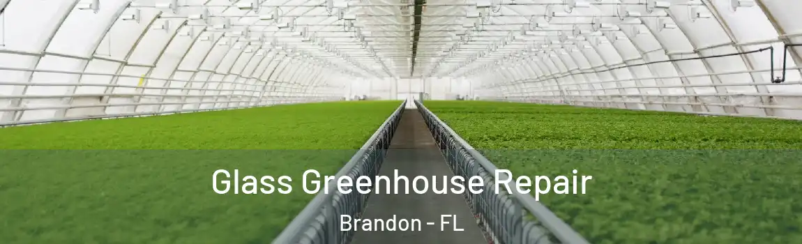  Glass Greenhouse Repair Brandon - FL