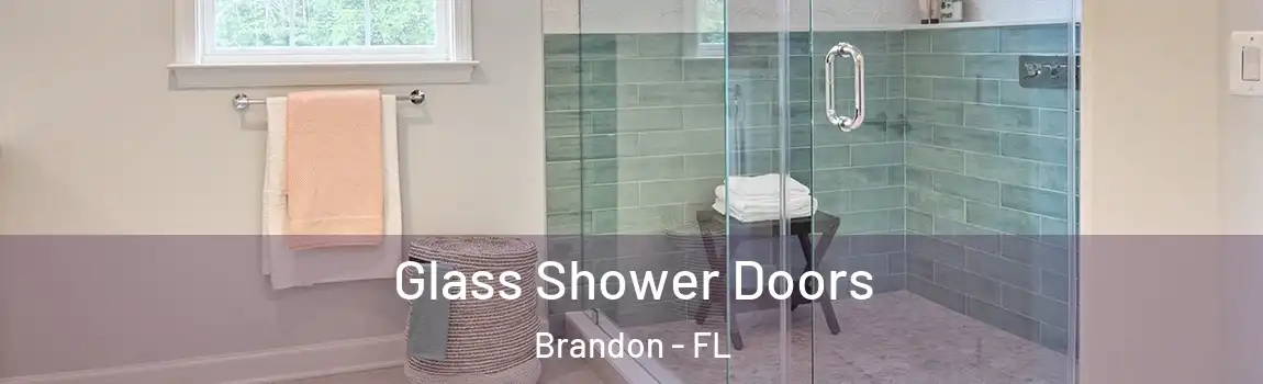  Glass Shower Doors Brandon - FL