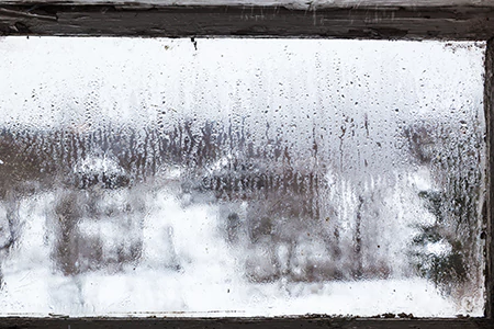 Defogging Double Pane Windows in Brandon, FL