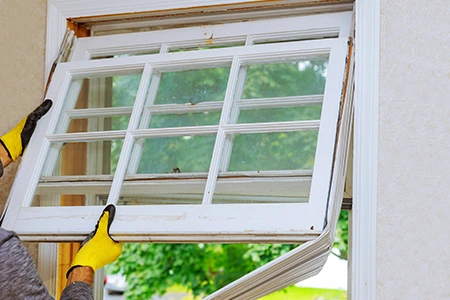 Window Replacement in Brandon, FL
