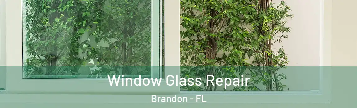  Window Glass Repair Brandon - FL